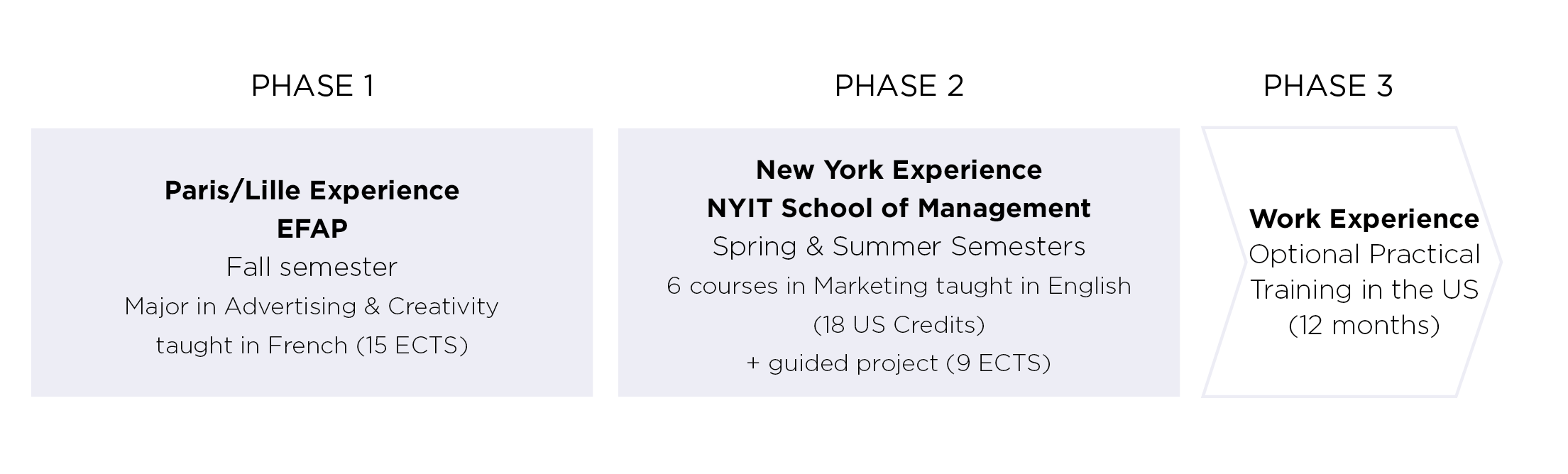 Double Diploma in Advertising École de Communication EFAP